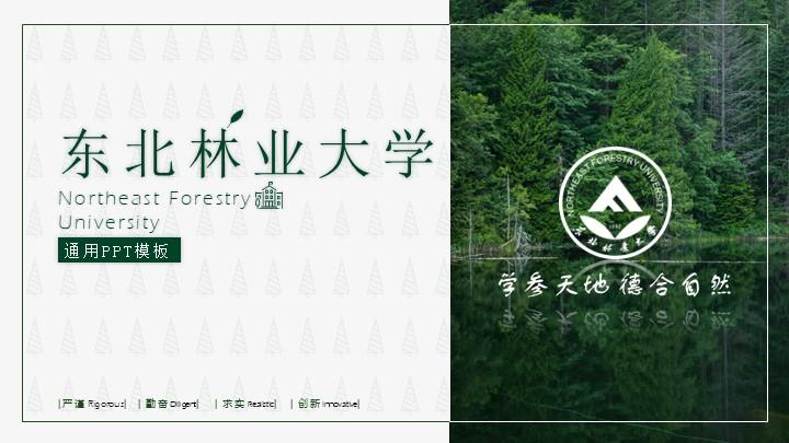 东北林业大学通用答辩PPT模板
